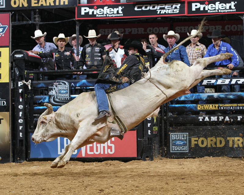 riding, extreme, western, cowboy, bull, 720P, 31 jpg, cow, bullrider, rodeo