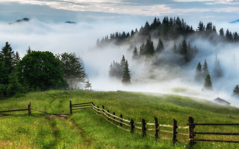 tranquility, trees, 720P, idyllic, landscape, scenics - nature, outdoors, tree, fence, tranquil scene, plant, hills, boundary, land, sky, grass, field