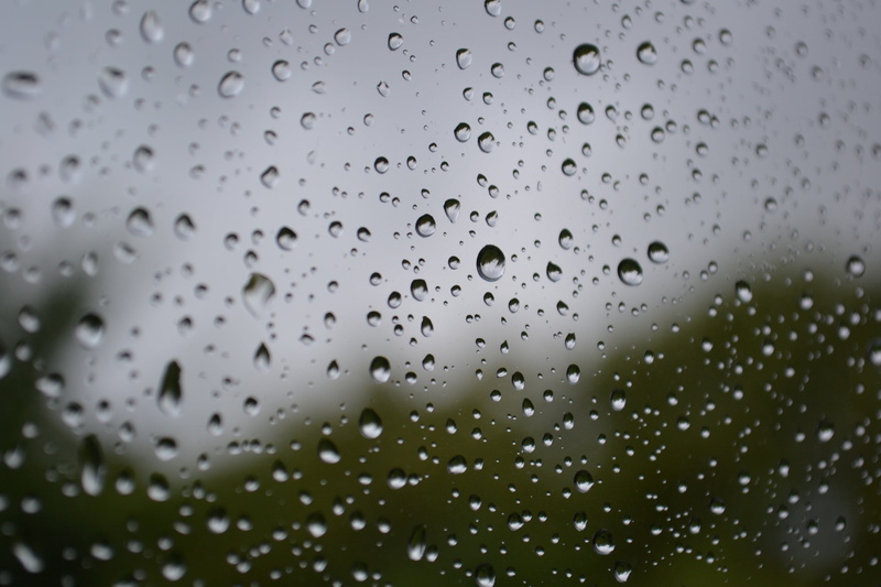 glass, rainy season, rain, focus on foreground, wet, drops, window, after rain, glass - material, lozenge after rain, water, raindrops, purity, monsoon