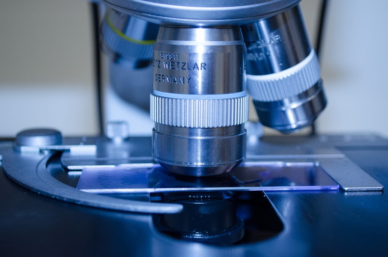 instrument, lab, technology, viewfinder, close-up, healthcare and medicine, biology, photography, experiment, medical sample, chemistry, plate, slide, biotechnology
