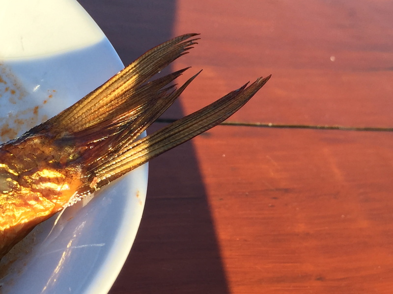 close-up, seafood, outdoors, wood, 2K, Restaurant, Fish, one animal, food, baltic herring, animal, animal wildlife, Table, animal themes, meal, summer