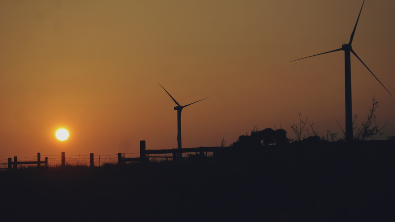 fuel and power generation, sky, plant, innovation, environmental, renewable energy, silhouette, wind power, sustainable resources, cell, natural, beauty in nature