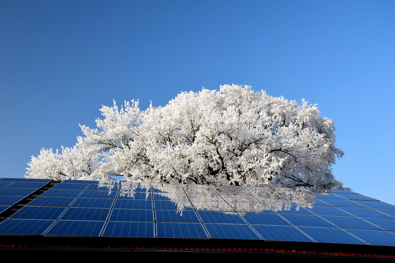 nature, day, schönwetter, blue, clear sky, beauty in nature, technology, plant, tree, environment, sky, sustainable resources, solar energy, outdoors, springtime