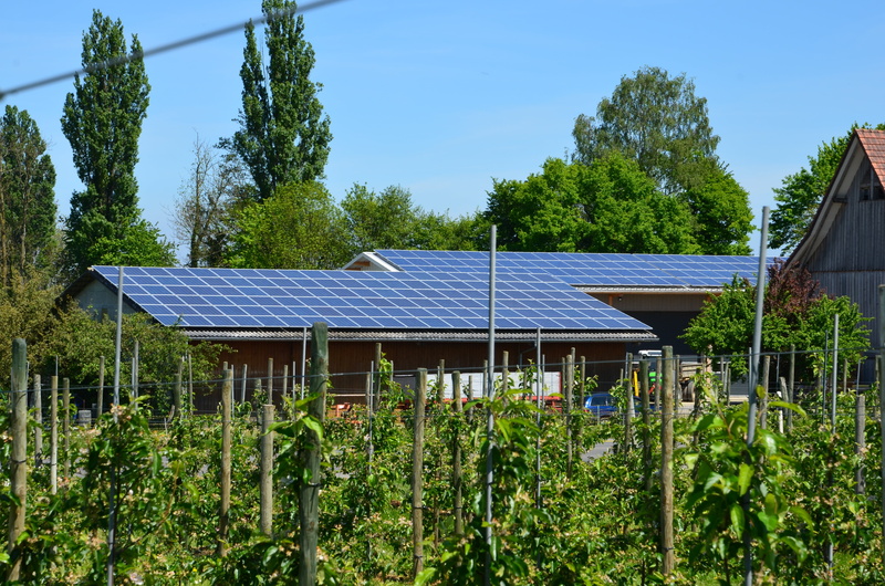 environmental conservation, growth, sustainable resources, outdoors, 4K, alternative energy, plants, renewable energy, renewable, sunlight, nature, power supply