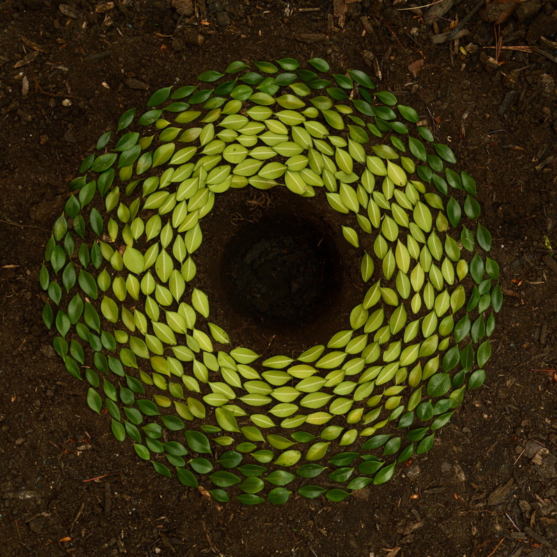 leaves, hole, nature, close-up, high angle view, circle, sculpture, 4K, soil, natural sculpture, plant, directly above, basket, no people, green