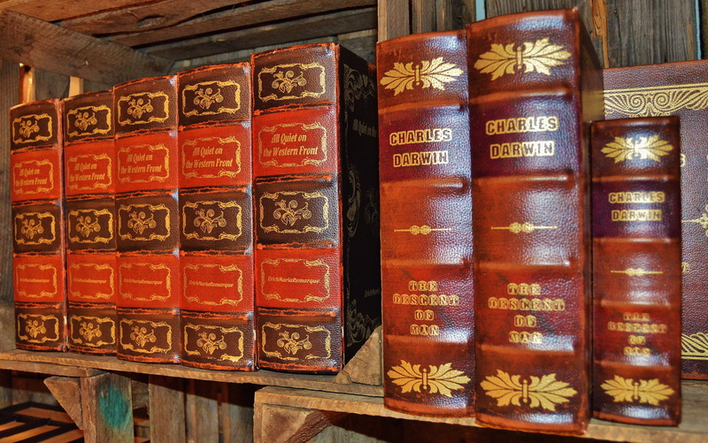 leather covers, antiquariat, spine, still life, bookshelf, 5K, shelf, variation, box, antique, large group of objects, indoors, text, order, brown, in a row