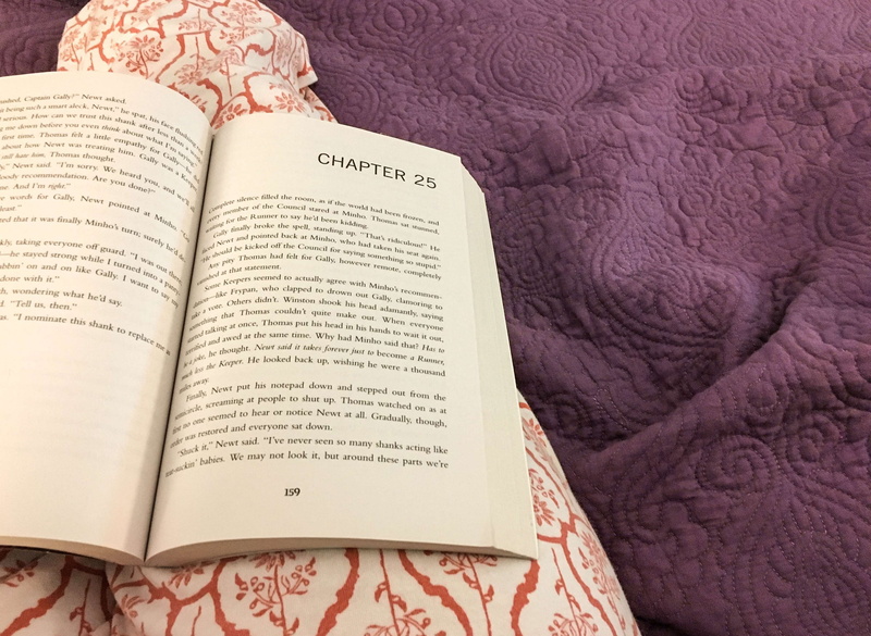 book, text, education, reading, page, communication, human body part, night, open, pyjamas, people, publication, paperback, hobbies, 4K, chapter 25, high angle view
