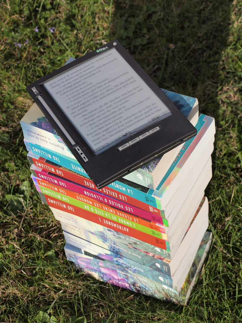 irex, drive, pocket book, technology, stack of books, environment, learning, e book, plant, literature, relaxation, iliad, home work, high angle view, touch screen
