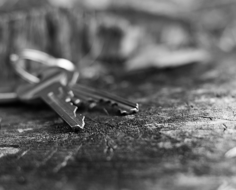 deforestation, old, iron, deforest, photo, equipment, flooring, forestry, depth of sharpness, open, surface level, atmospheric, keychain, grayscale, close up