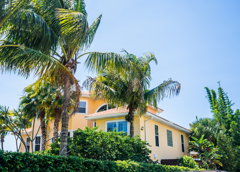 city, tree, luxury, clear sky, building, florida, no people, front or back yard, vacation, plant, palm trees, tropical climate, built structure, sky, house