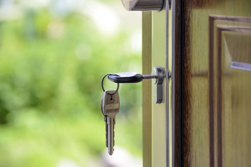 real estate, locked, sunlight, 4K, keyhole, focus on foreground, outdoors, close up, building exterior, green color, security, metal, nature, selective focus