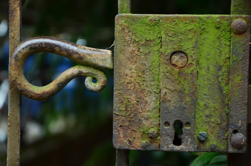 safety, selective focus, Castle, boundary, weathered, Verdigris, wood - material, no people, cemetery, nature, photography, selective, Lock, day, locks to