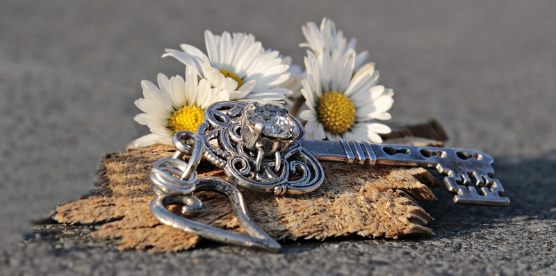 valentines day, greeting, postcard, key to the heart, map, skeleton, art and craft, symbol, close up, white, nature, greeting card, door key, silver, studio shot
