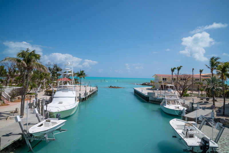 no people, transportation, scenics - nature, tree, sea, nature, turquoise colored, tropical climate, nautical vessel, tranquil scene, palm tree, key west