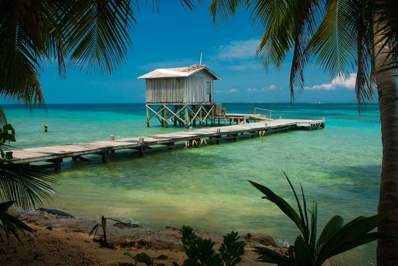 palm tree, horizon over water, tropical climate, palm leaf, turquoise colored, architecture, hut, tropical, palm trees, built structure, horizon, outdoors