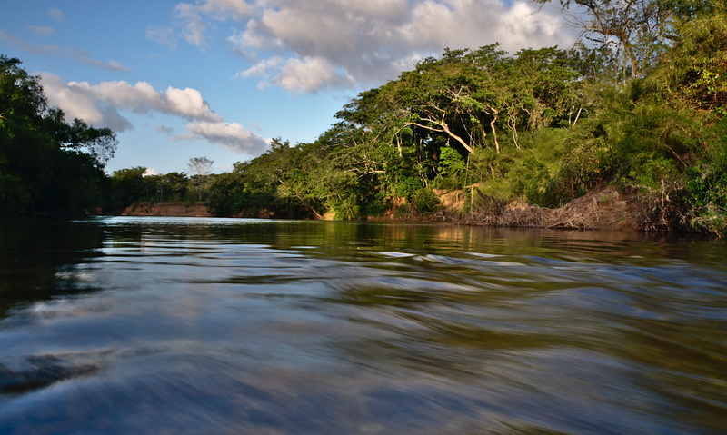day, tropical climate, scenics - nature, tropical tree, beauty in nature, spanish lookout, dangerous, forest, rapid, stream, nature, no people, trees, lake