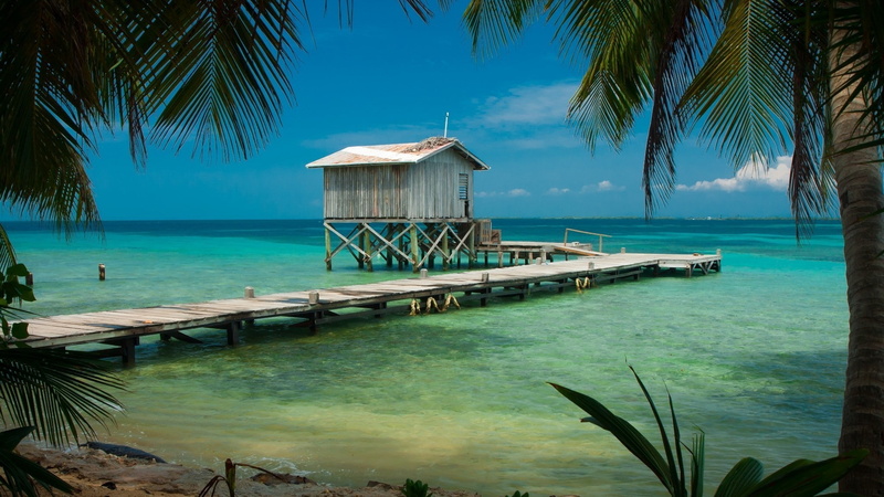 water, Palm Trees, landscape, tropical, Wooden Surface, beach, sea, Belize, Turquoise, Dock, 1080P, nature, Cabin