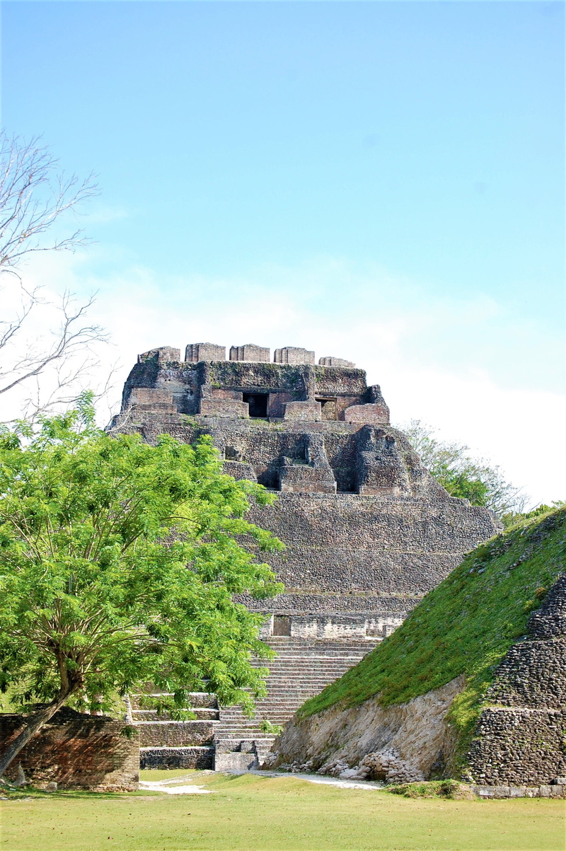 built structure, day, history, outdoors, maya, 2K, plant, the past, archaeology, no people, architecture, ancient, ancient civilization, tourism, xunantunich