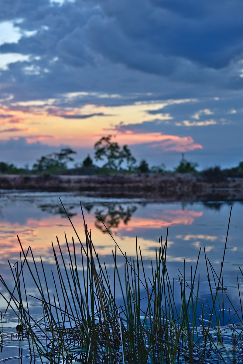 dusk, nature, sunset, tranquility, landscape, grass, pond, lake, no people, orange color, clouds, cloud - sky, plant, beauty in nature, growth, non-urban scene