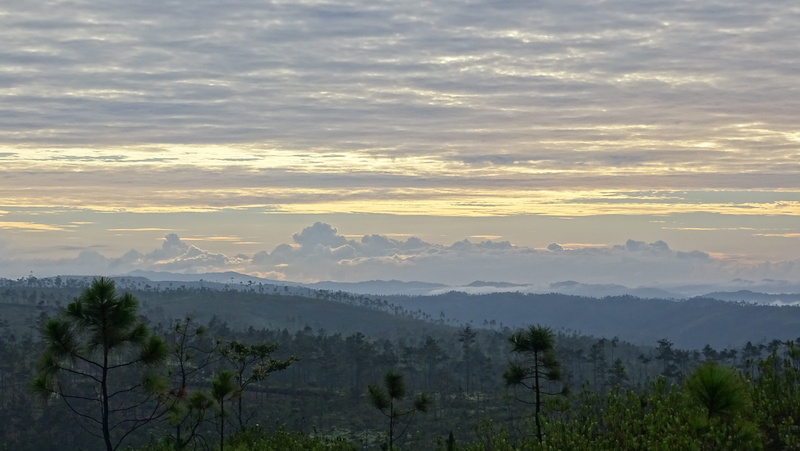 mountain, 5K, color, forest, Clouds, scenery, plant, mountain range, Valley, scenics - nature, tree, environment, Ridge, yellow, idyllic, landscape, pine