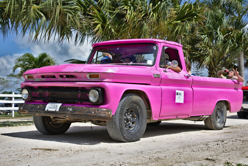 car, pickup, land vehicle, mode of transportation, palm tree, aged, transportation, nature, outdoors, automobile, plant, pink color, vintage, transport
