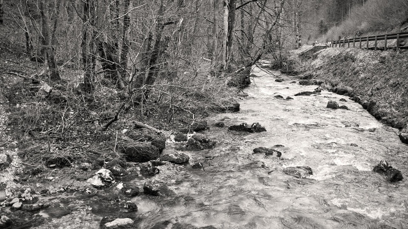 landscapes, black, trees, forest, roads, rivers, images, woods, bw, world, white, streams, 1080P