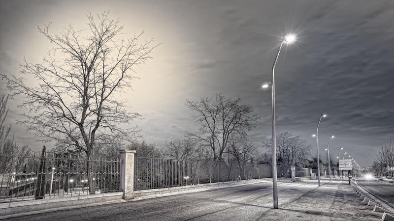 tree, 1920x1080, 1080P, trees, posts, white, world, fence, lamp, road