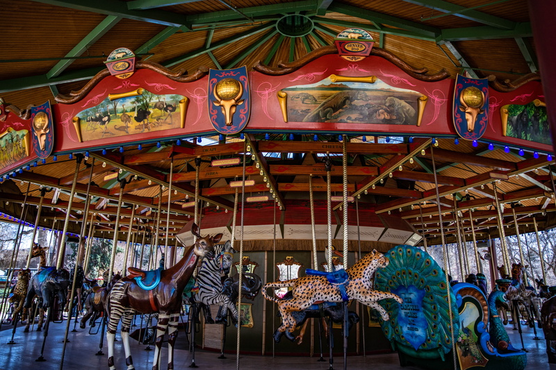 illuminated, art, carnival, ceiling, representation, lighting equipment, person, arts culture and entertainment, carousel, lighting, reptile, apparel, adventure