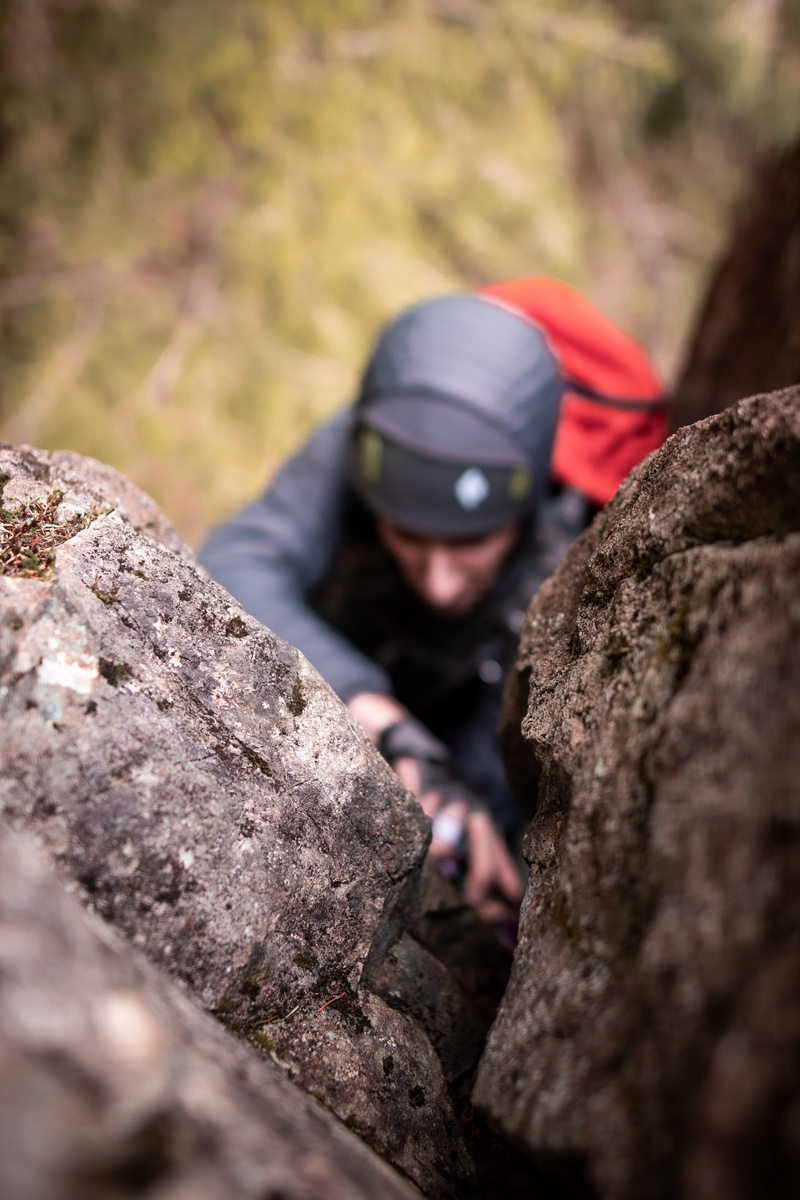 rocks, accessories, adventure, trees, nature, activity, rack, rope, rock, outdoors, human, rock climbing, 5K, person, selective focus, tree