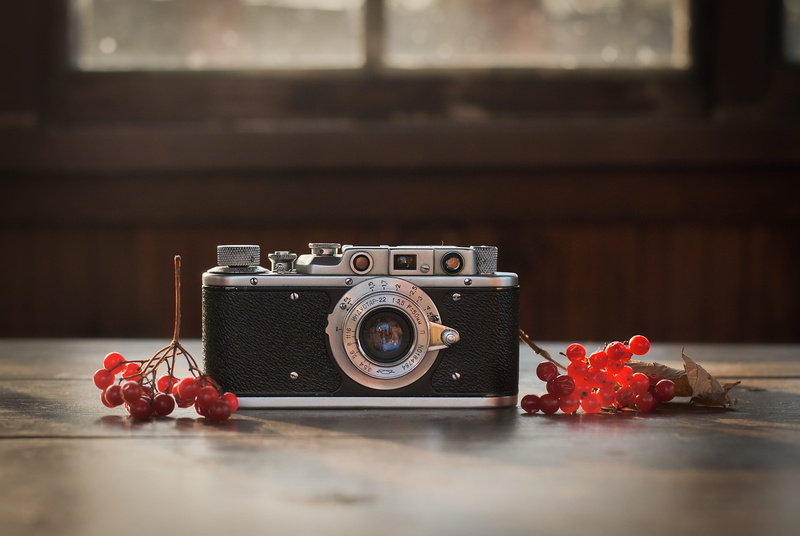 plant, history, blossom, electronics, camera, raspberry, old camera, wood, red, vintage, zorkiy, selective focus, indoors, display, photography themes