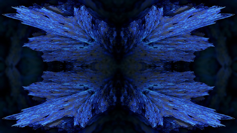growth, blue, beauty in nature, plant, 3D fractal, symmetry, textured, vulnerability, freshness, 1080P, purple, focus on foreground, flowering plant, mineral