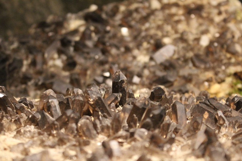 no people, macro, land, animal, sunlight, crystals, animal wildlife, close-up, smoky quartz, one animal, nature, selective focus, invertebrate, reptile