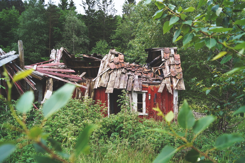 ruin, 5K, broken, hut, decay, blurred, wood