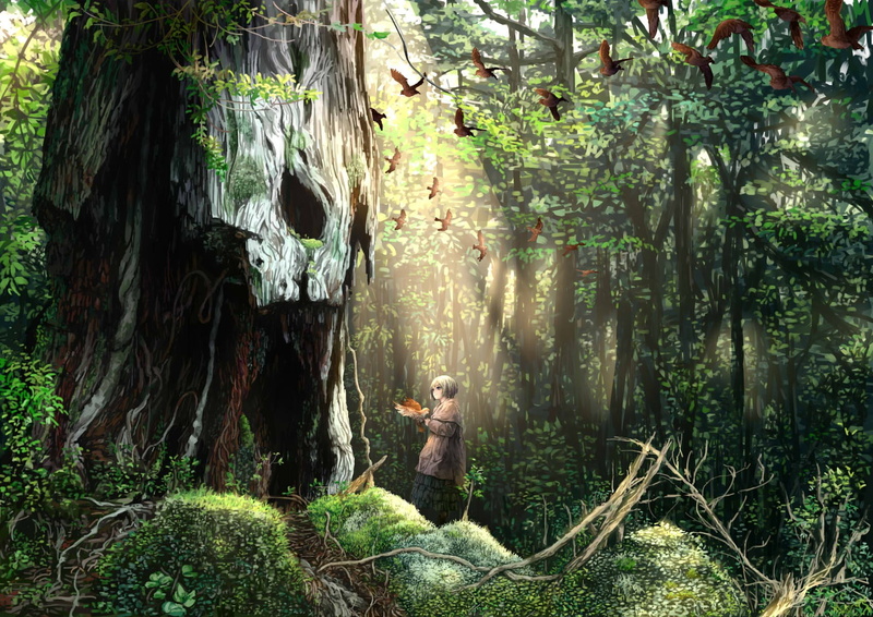 woodland, day, outdoors, fantasy art, anime girls, anime, plant, lifestyles, one person, tree trunk, nature, wood, casual clothing, real people, 720P