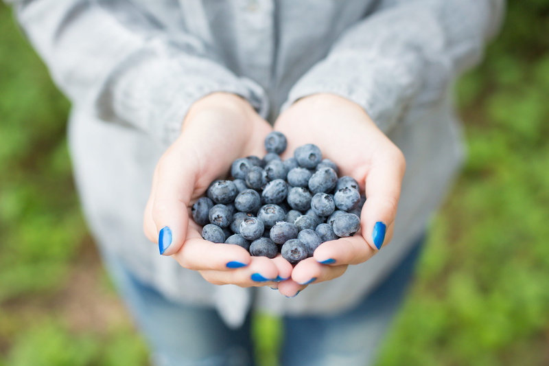ripe, woman, focus on foreground, handful, forest, day, healthy Lifestyle, grape, outdoors, girl, fruit, Blueberries, food, summer, human body part, freshness