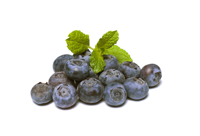 isolated, healthy eating, fruit, wellbeing, leaf, blueberries, studio shot, nature, blueberry, diet, freshness, white, green color, ripe, background, mint leaf - culinary