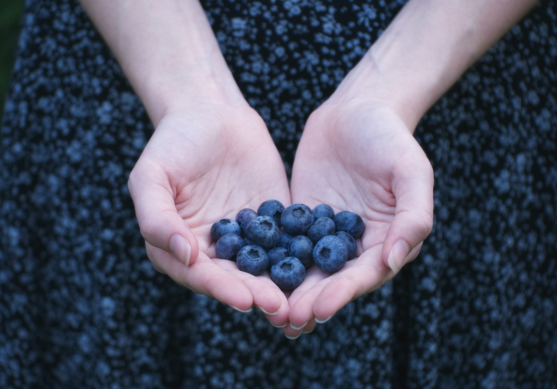 food, hand, ripe, fashion, style, backgrounds, blackberry - Fruit, summer, eat, hold, refreshment, holding, sweet Food, healthy, healthy Eating, raw Food