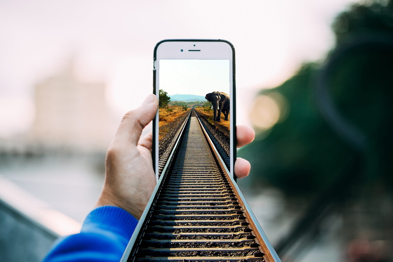 smartphone, apple, outdoors, iphone, rails, 5K, activity, phone, close-up, human body part, focus on foreground, elephant, mobile phone, photo messaging