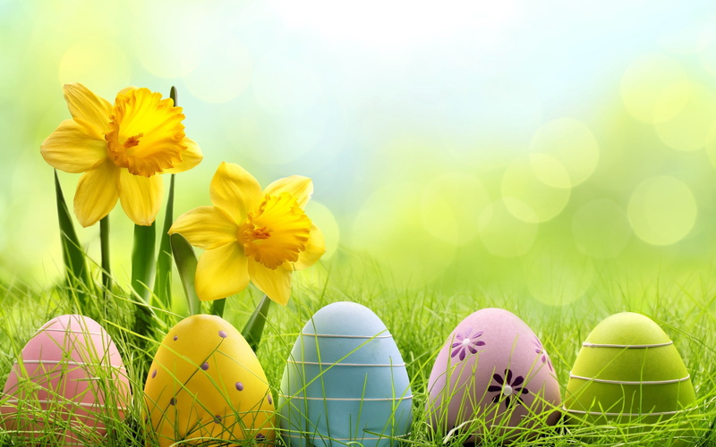 eggs, easter, 2014 easter, 2014 easter eggs, easter eggs, cute, 2K, easter 2014