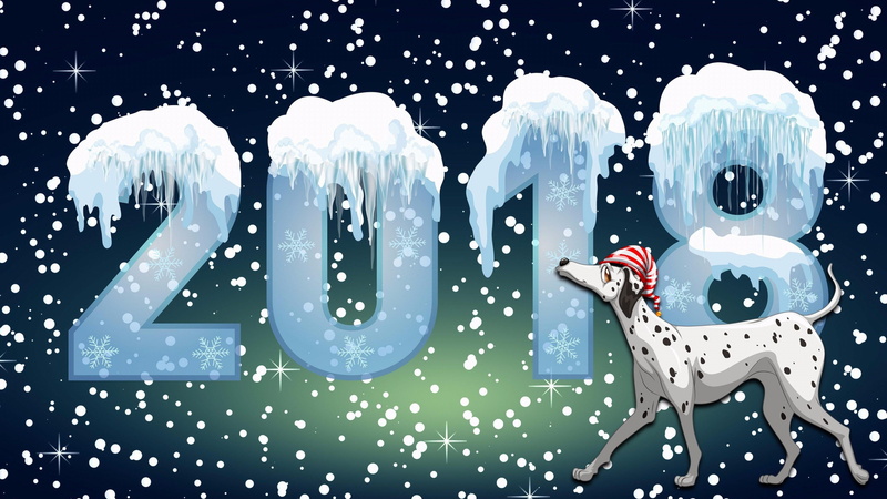 2018, ice, indoors, celebration, representation, animal wildlife, pets, zodiac, domestic, cute, snowing, 4K, night, chinese, horoscope, domestic animals