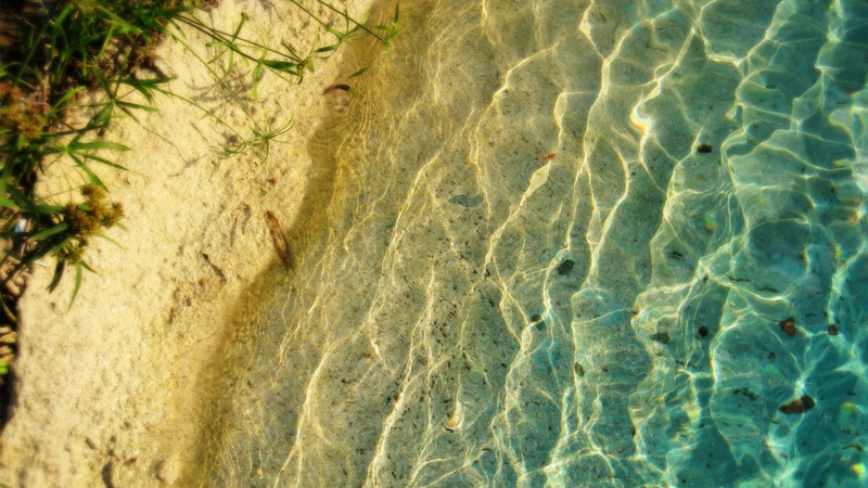 sea, water, transparent, light, backdrop, swimming pool, beauty in nature, brain coral, 1080P, pool, sunlight, surface, full frame, design, color, clean