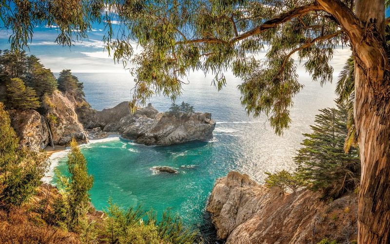 coast, sur, big, growth, tranquil scene, plant, California, nature, beach, water, outdoors, tranquility, turquoise colored, rock, scenics - nature, trees