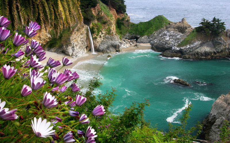 Earth, McWay Falls, Rock, Coastline, 1080P, Water, Waterfalls, Waterfall, Flower, Beach, Nature