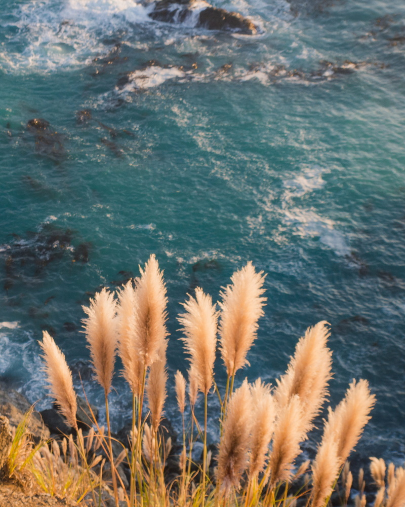 land, 4K, water, outdoors, sunlight, nature, big sur, high angle view, no people, day, scenics - nature, beauty in nature, tranquil scene, ocean, plant
