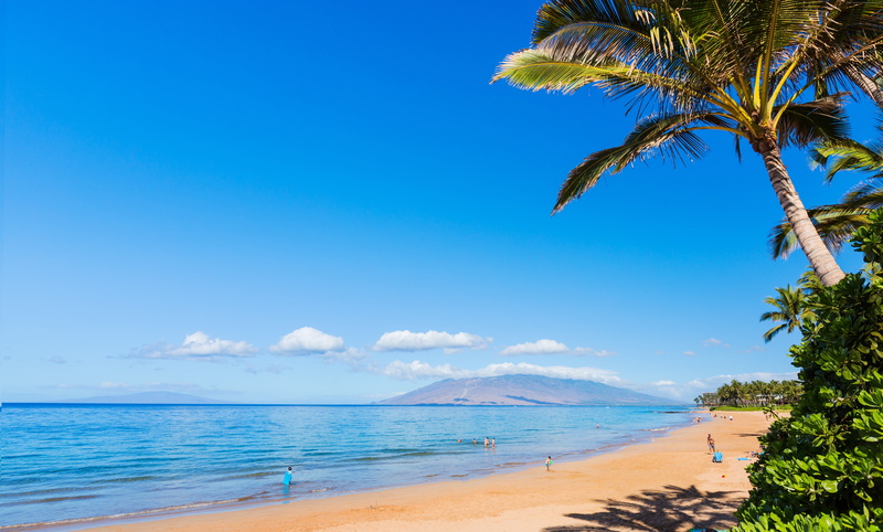 Maui, coast, Hawaii, 5K, beach, palm, sky, 5k, ocean