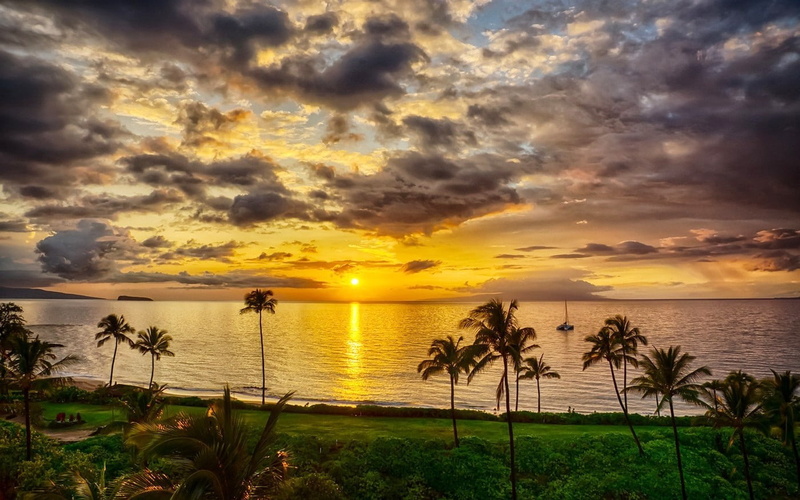 tree, coconut palm tree, land, horizon over water, horizon, palm trees, water, sunset, sky, beauty in nature, tranquility, outdoors, 720P, island, clouds