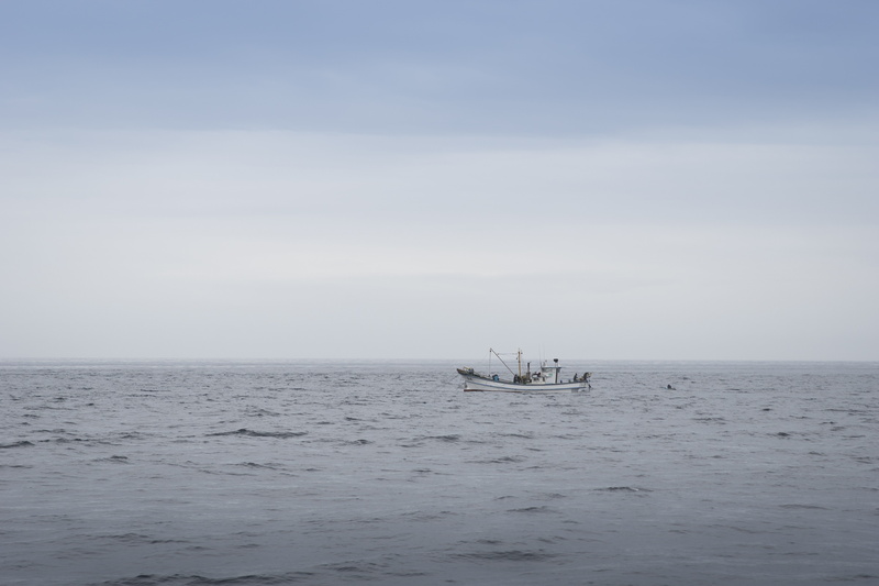 sea, waterway, scenics - nature, horizon, calm, boat, ship, ocean, water, transportation, yacht, sky, mode of transportation, no people, fishing, waterfront