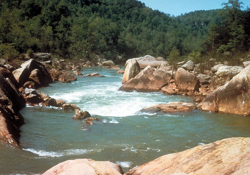 photos, 720P, water, United States, big, power in nature, public domain, plant, solid, tree, rock - Object, scenics, land, sea, nature, river, south, tranquility
