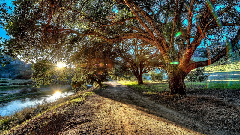 malibu creek state park, plant, california, grass, creek, pathway, morning, branch, nature, sunlight, 1080P, river, tree, sky, united states, malibu creek