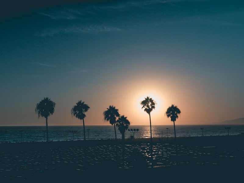 sunrise, outdoors, horizon, tranquility, idyllic, sun, coconut palm tree, trees, sea, malibu, dusk, clean, simple, scenics - nature, photography, water